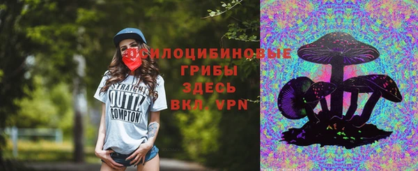 apvp Алексин