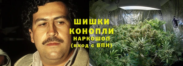 apvp Алексин