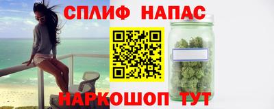 стаф Вязники