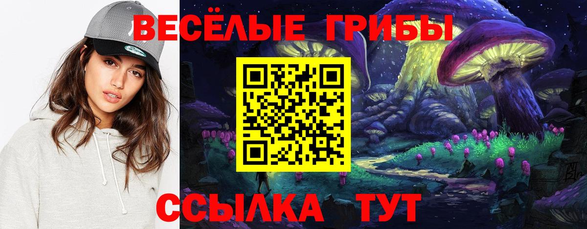 Галлюциногенные грибы Psilocybe  Псилоцибиновые грибы Psilocybine cubensis  Нарьян-Мар  Вход с VPN 